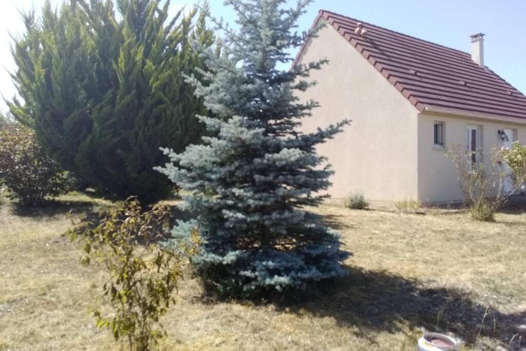 a christmas tree in a yard next to a house at Le Lizard, un gîte pour vos passions nature in Château-du-Loir