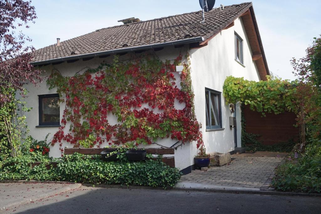 una casa blanca con flores rojas a un lado. en Haus Eifeldolomiten - Ankommen und Wohlfühlen, en Gerolstein