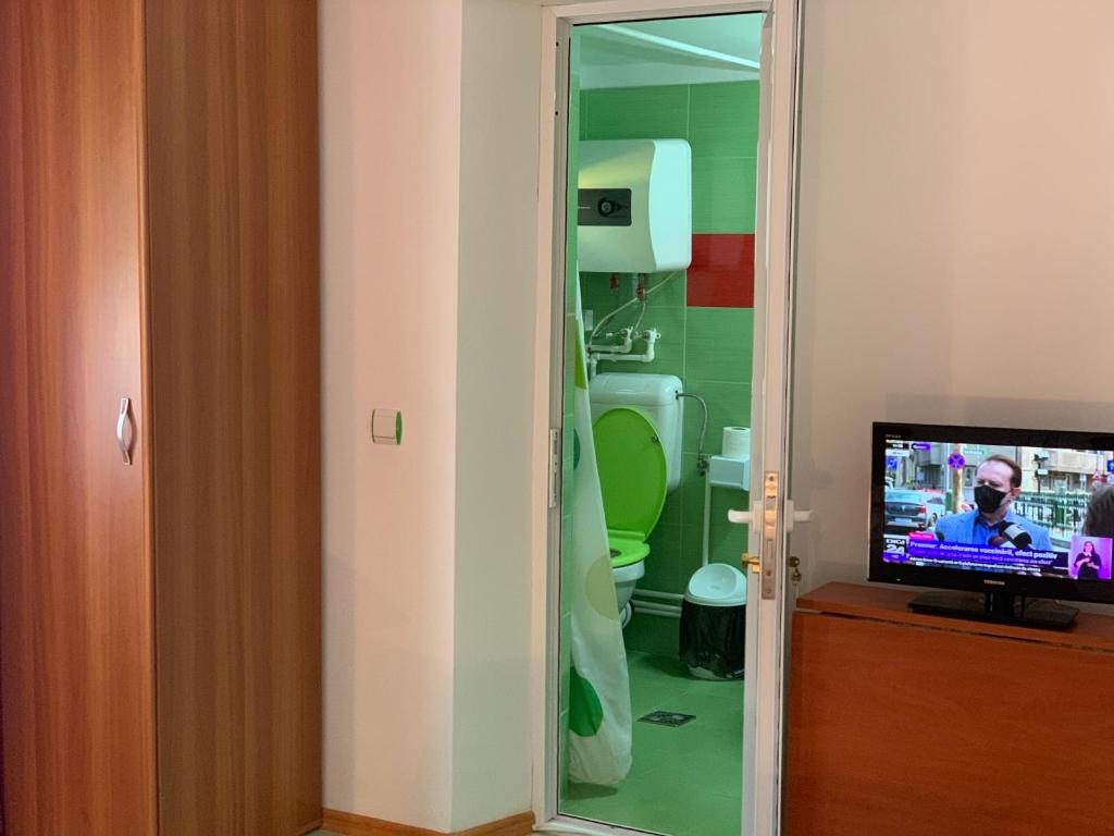 TV a/nebo společenská místnost v ubytování All in Delta Camere de inchiriat