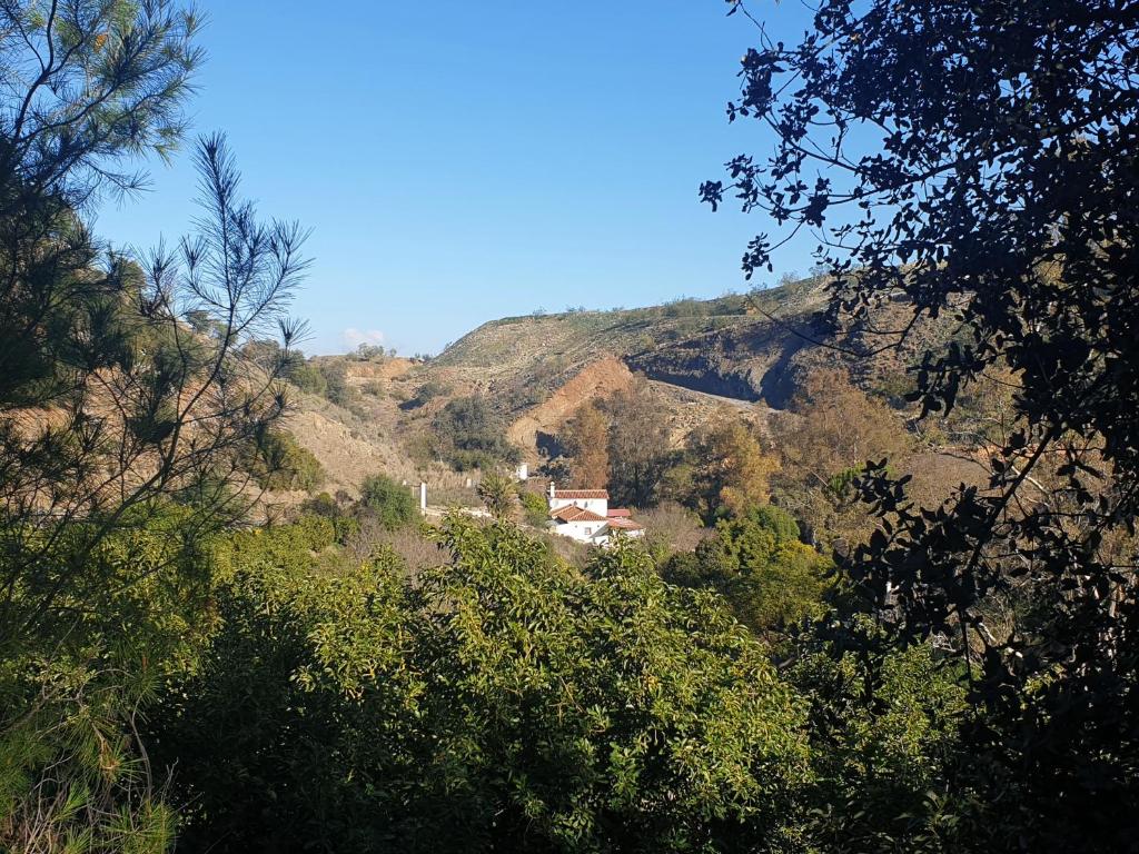 Vegan Guesthouse Finca Pereila - Dubbel Of Tweelingzaal Met Terras