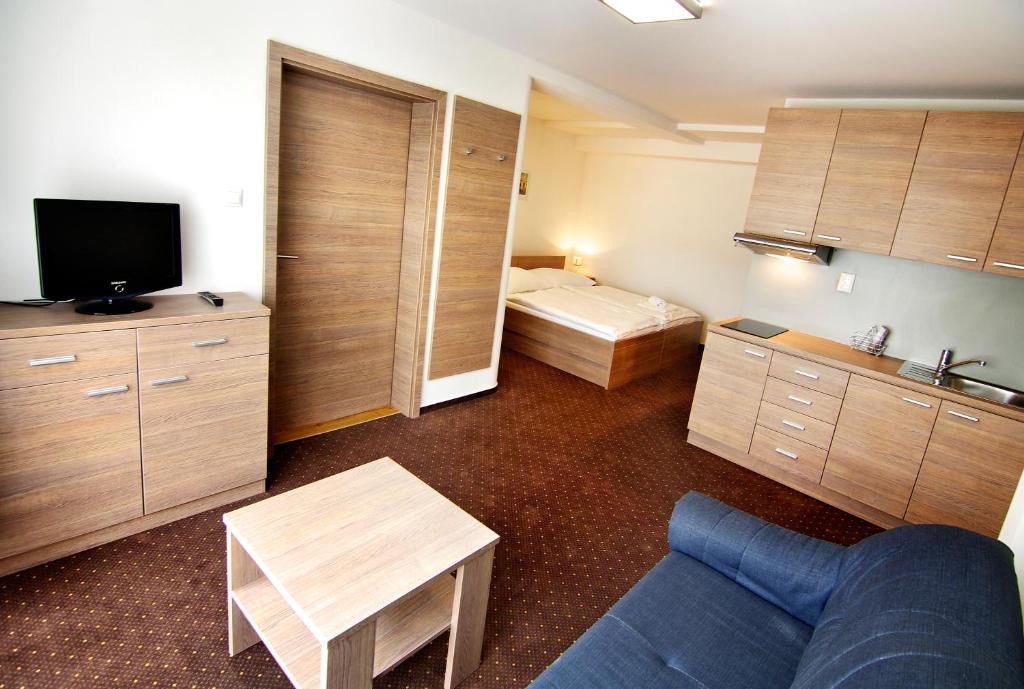 TV a/nebo společenská místnost v ubytování Hotel Lučivná