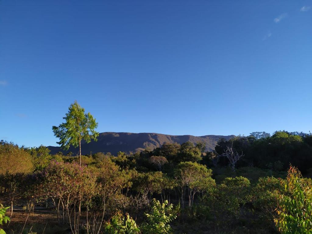  Camping Flor do Sol