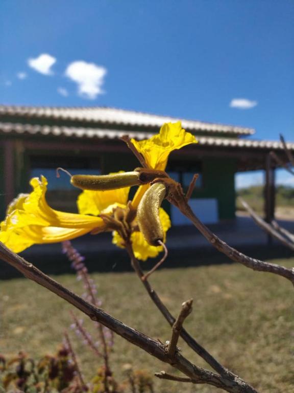 Camping Flor do Sol