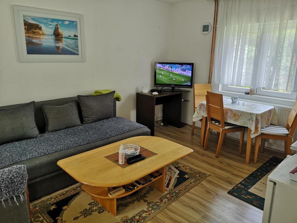 - un salon avec un canapé et une table dans l'établissement Apartmani Žubor, à Banja Koviljača