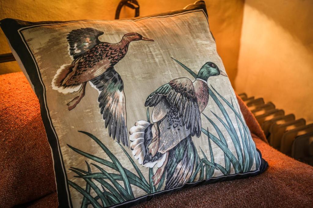 Fotografie z fotogalerie ubytování Aguapé Lodge v destinaci Colonia Carlos Pellegrini