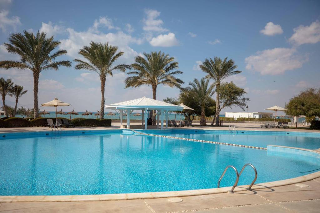 a large swimming pool with palm trees in the background at Mousa Coast Chalets & Villas (Managed By Mousa Coast) in Ras Sedr