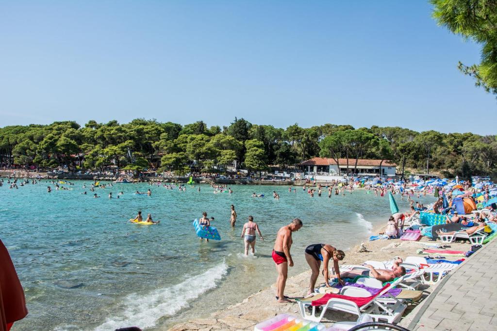 Príroda v okolí apartmánu
