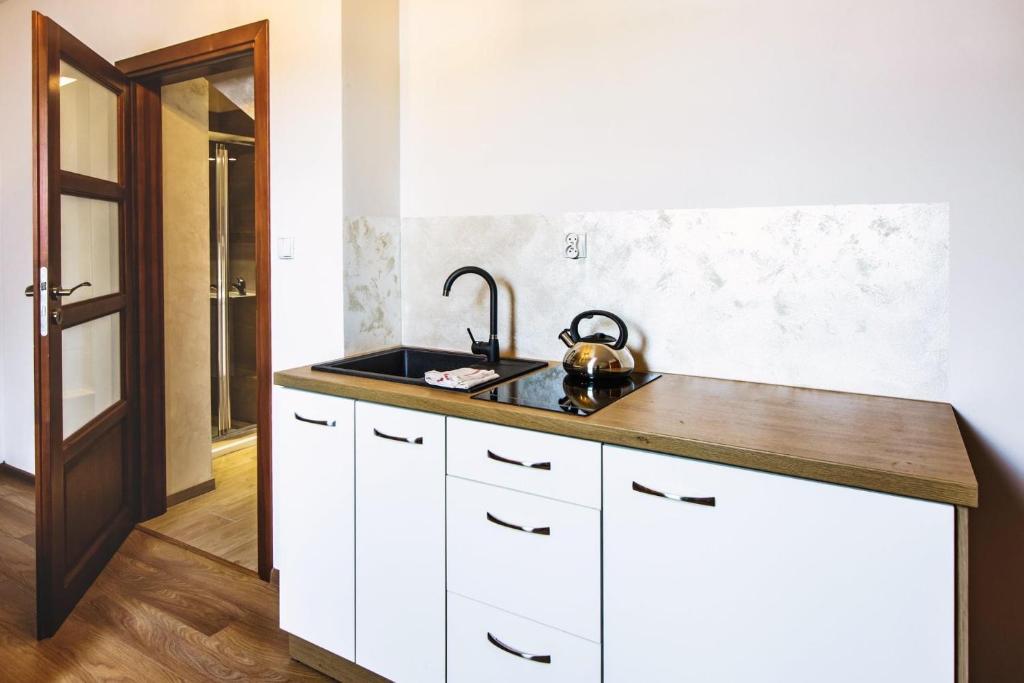 Kuchyň nebo kuchyňský kout v ubytování Apartamenty i Domki Orawskie