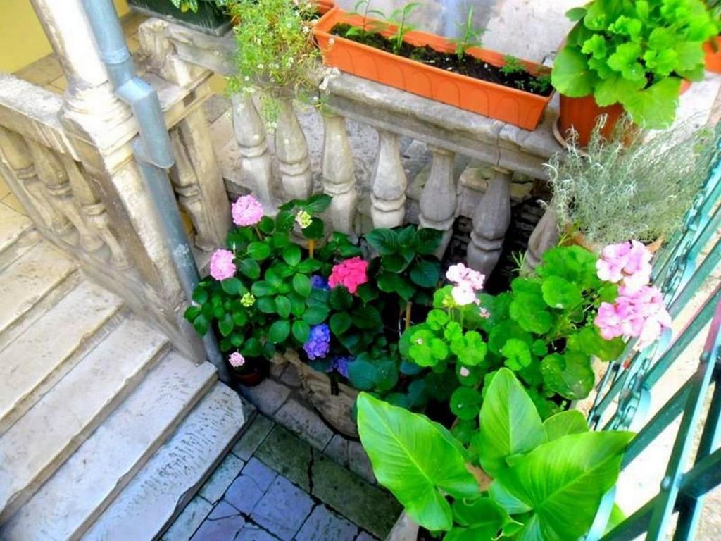 Zahrada ubytování Apartment Nikolina