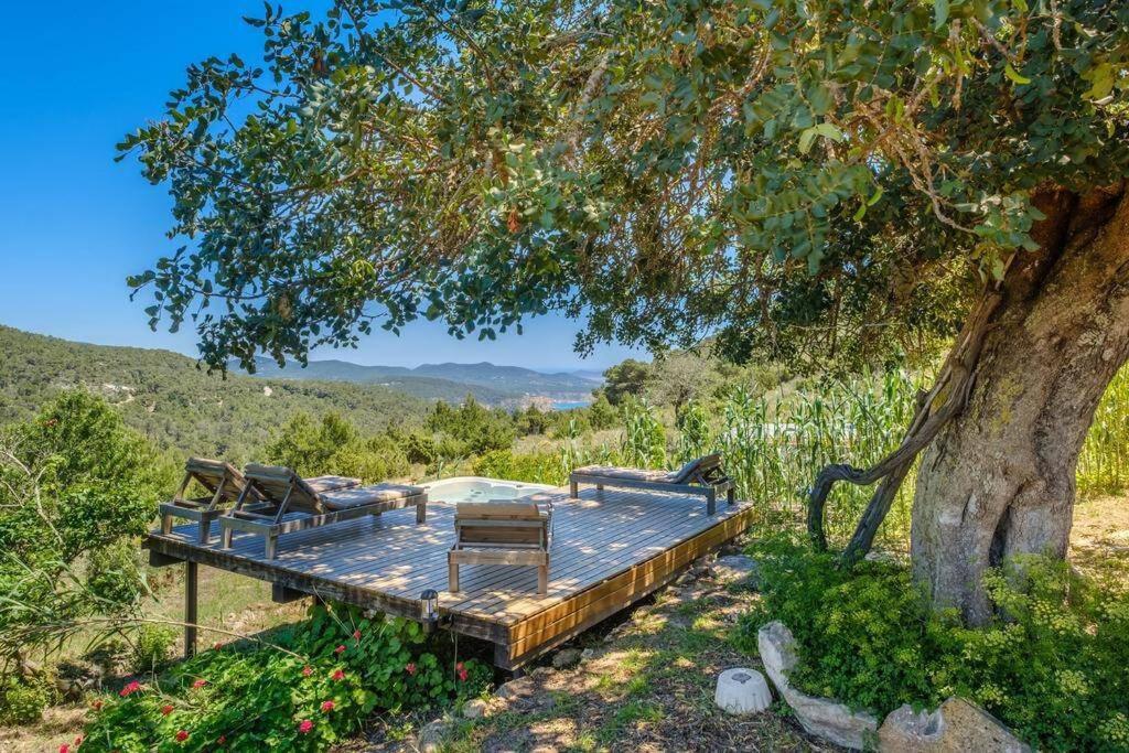 Táj Show holiday homes közelében