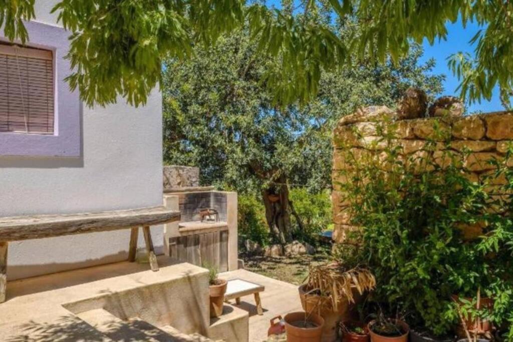 A garden outside CASA IBICENCA EN CALA D´HORT