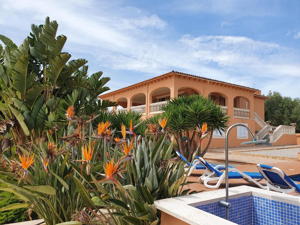 un complejo con una piscina con sillas y plantas en Ca´n RoSer, en La Cabaneta
