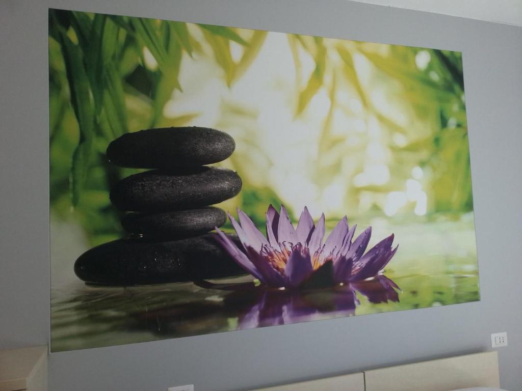 Fotografie z fotogalerie ubytování Hotel Villa Grazia v destinaci Limone sul Garda