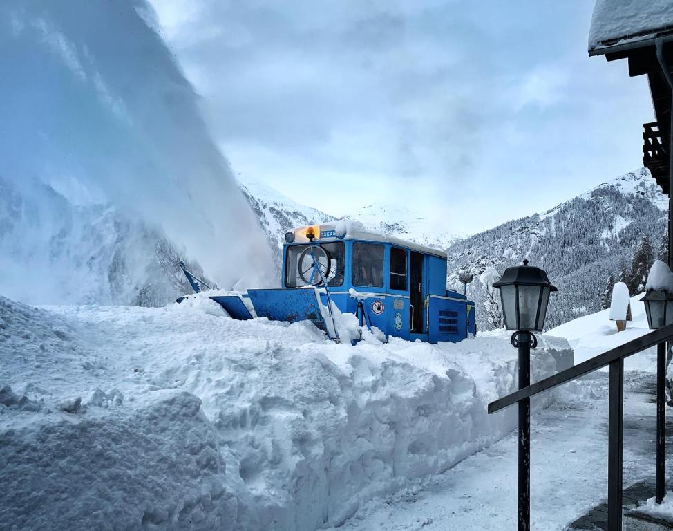 Ferienhof Oberer Gollmitzer - 14