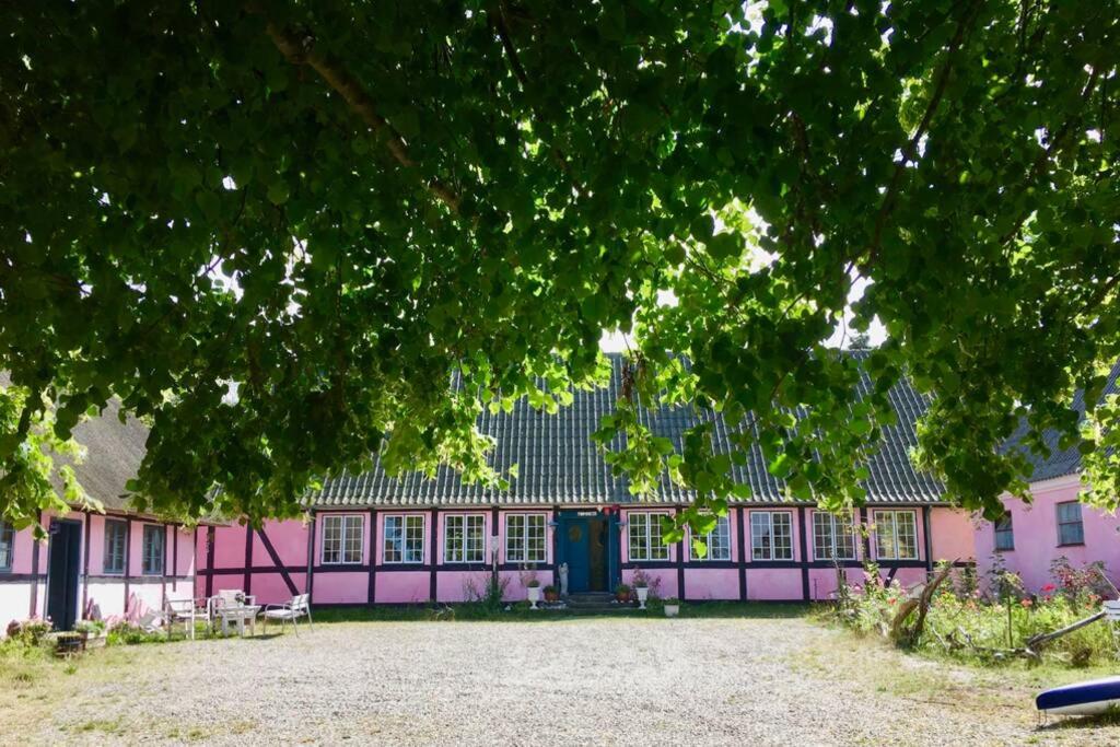un edificio rosa con una puerta azul bajo un árbol en Frejas Sal Apartments, en Tranekær