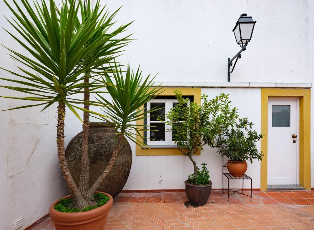 Um jardim em ADC - Albergaria Do Calvário - by Unlock Hotels