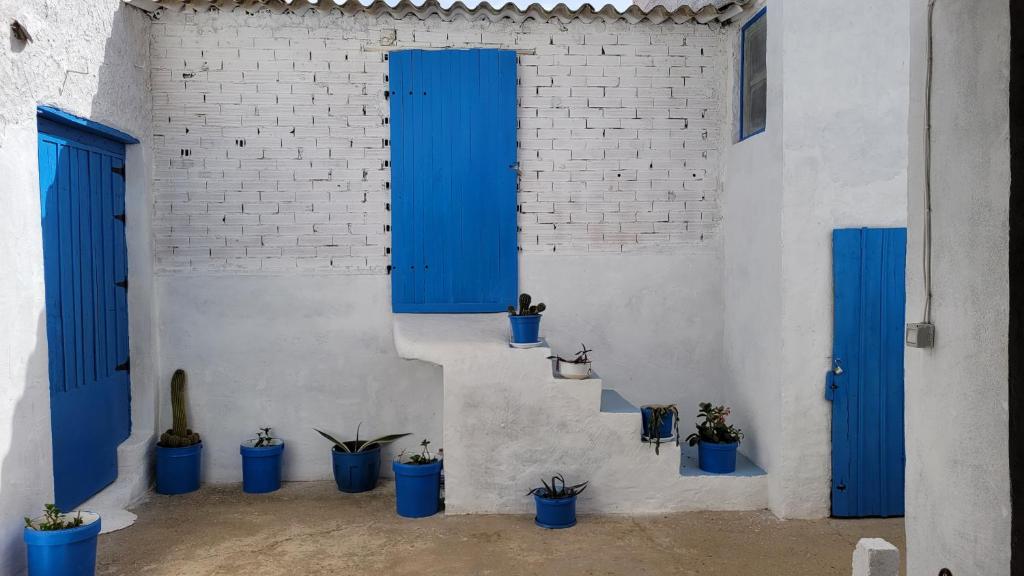 un mur blanc avec des portes bleues et des plantes en pot dans l'établissement Casa Tonete, à San Justo de la Vega