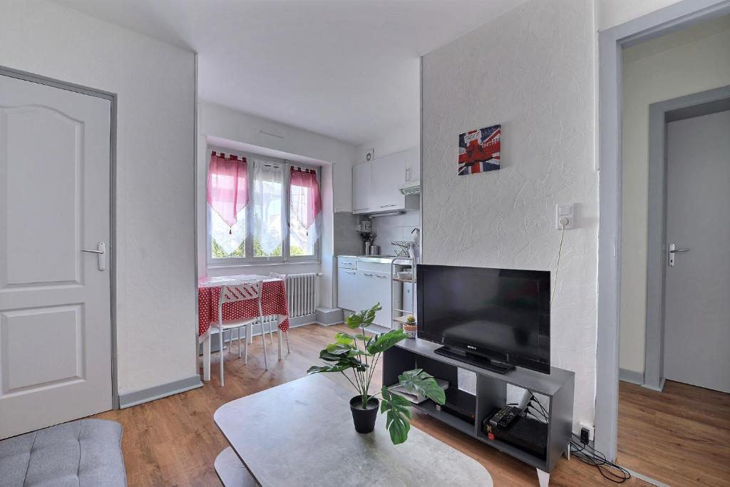 a living room with a large flat screen tv at Appartement 2 pièces plein de charmes - Caroline in Valentigney