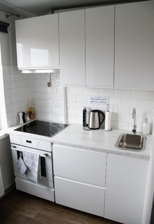 Kuchyň nebo kuchyňský kout v ubytování Mia Kiviõli Apartment