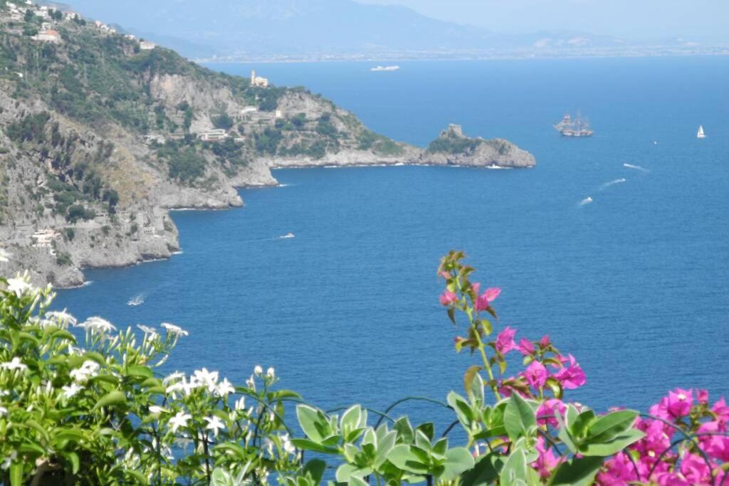 a view of the amalfi coast with pink flowers at Blumavy in Praiano