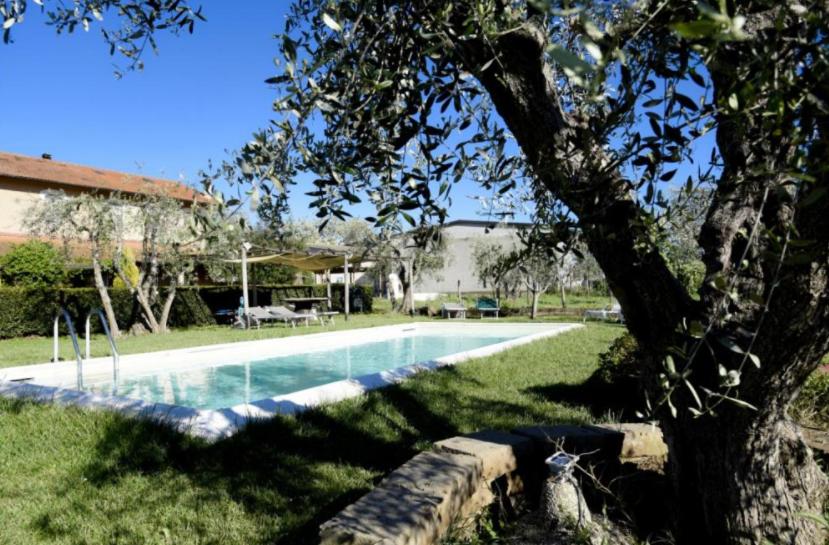 a swimming pool with a tree next to a house at Podere Montecorno in Alberese