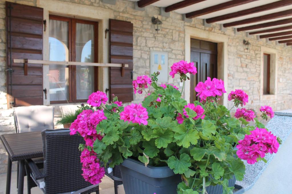 a pot of pink flowers in front of a house at House Braida in Bale