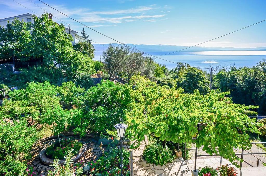 Príroda v okolí apartmánu