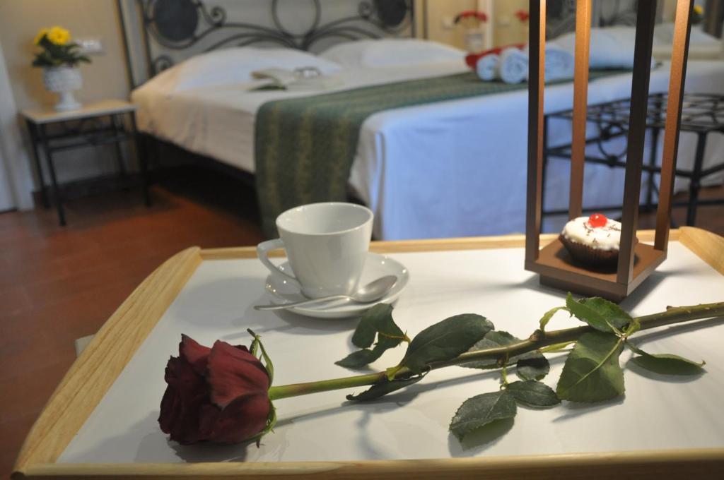 Villa del Vescovo - 5