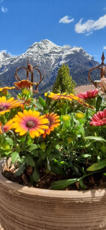 Nespecifikovaný výhled na hory nebo výhled na hory při pohledu z bed and breakfast