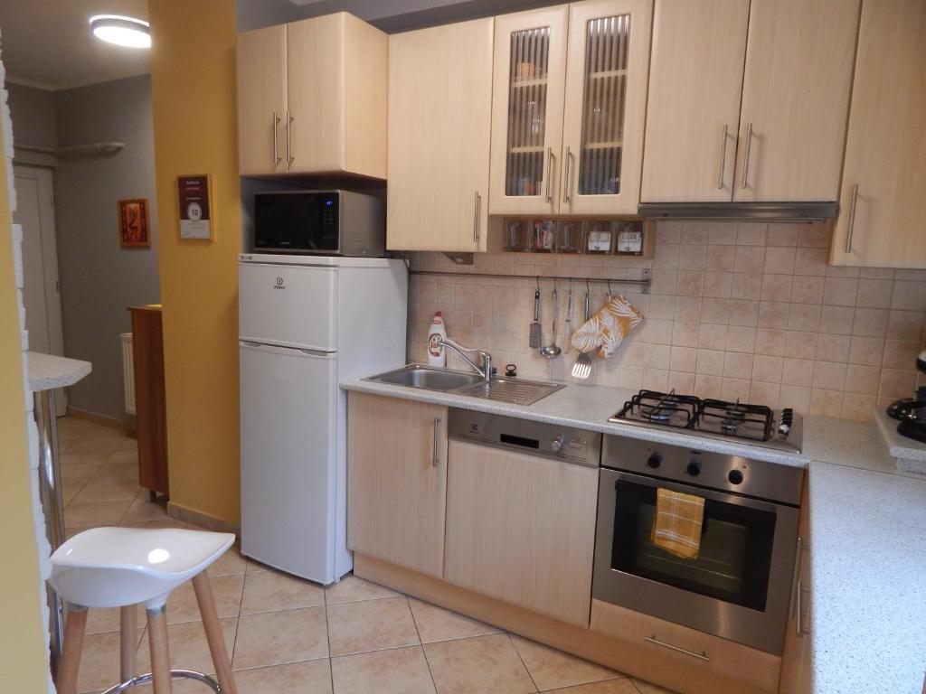 Kuchyňa alebo kuchynka v ubytovaní Boros Apartman