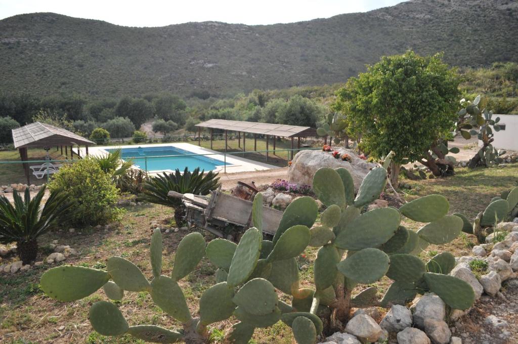 a garden with a cactus and a swimming pool at Agriturismo Timpa del Sole in Noto