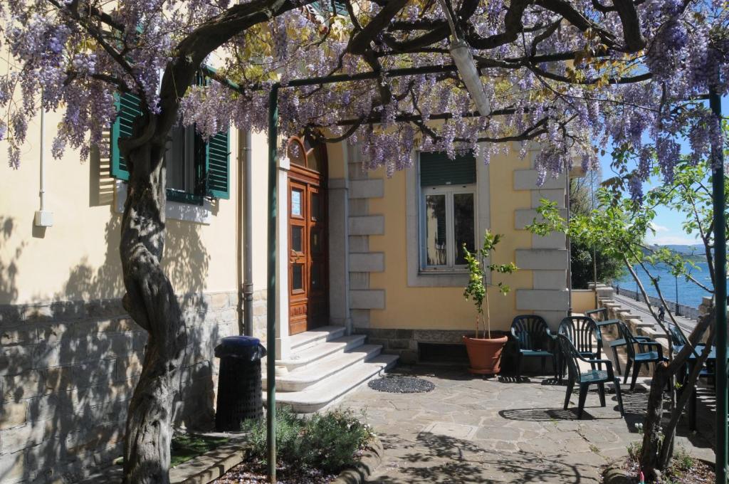 Una casa con un árbol con flores púrpuras. en Villa Tergeste, en Trieste