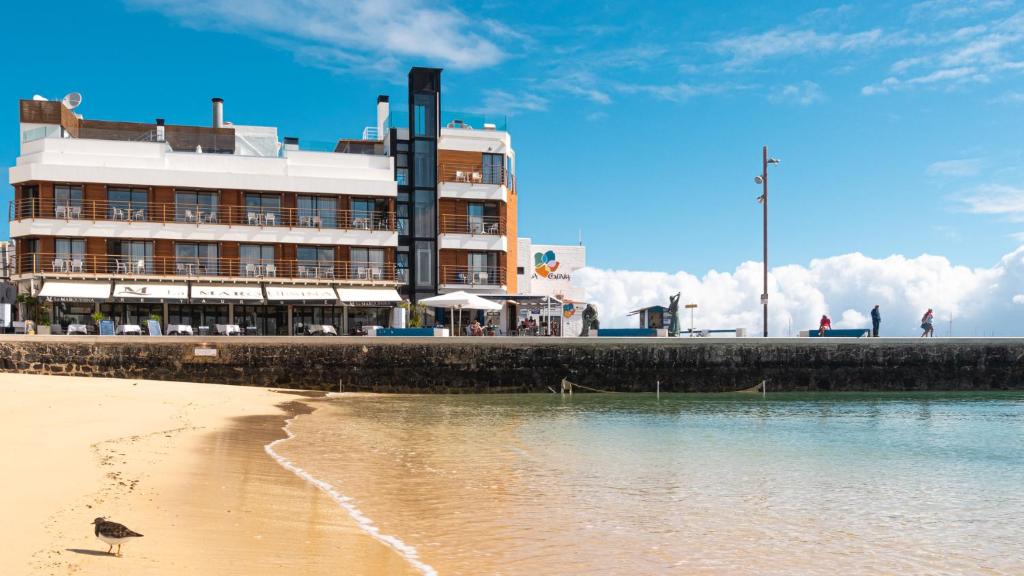 - un bâtiment sur la plage avec un oiseau sur le sable dans l'établissement Hotel Boutique La Marquesina - Adults Only, à Corralejo