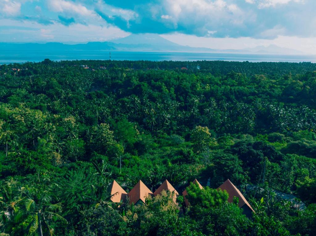 an aerial view of a forest with houses in the foreground at Bukit keker cottage in Nusa Penida