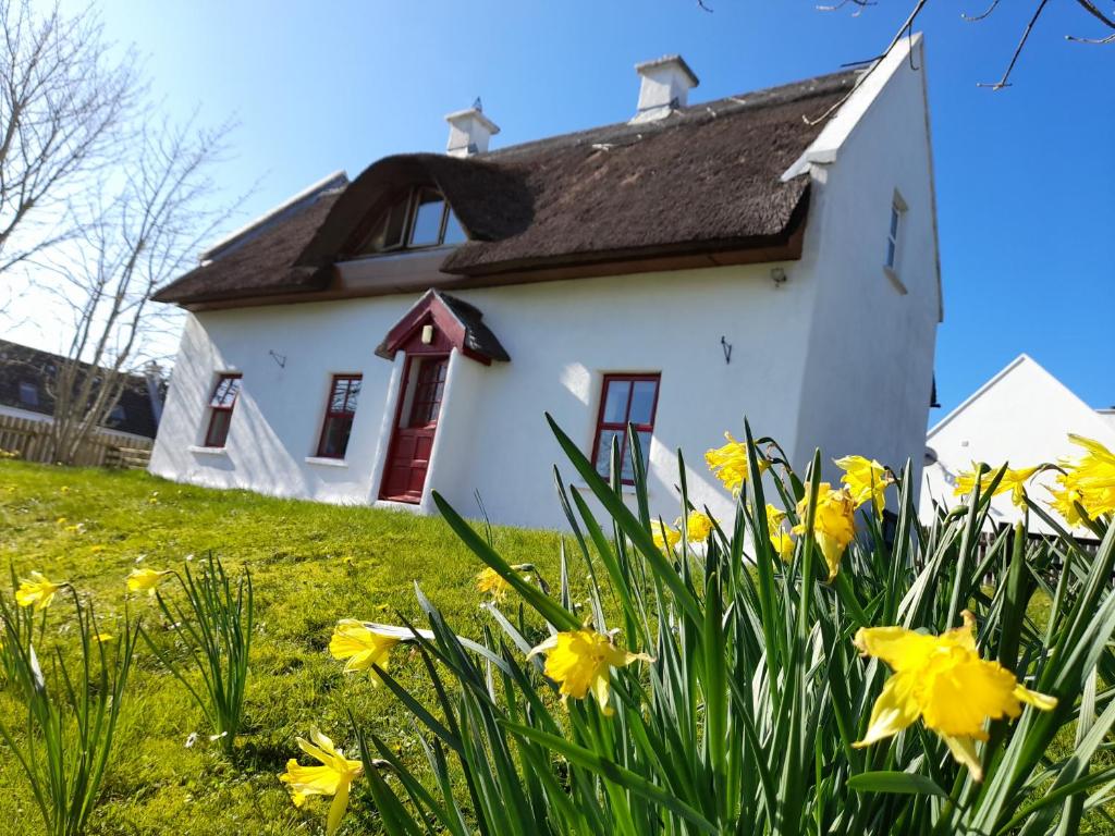 ein weißes Haus mit gelben Blumen davor in der Unterkunft Donegal Thatched Cottage in Loughanure