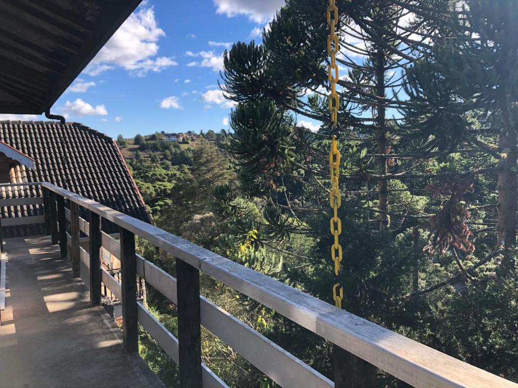  Casa pelinhos