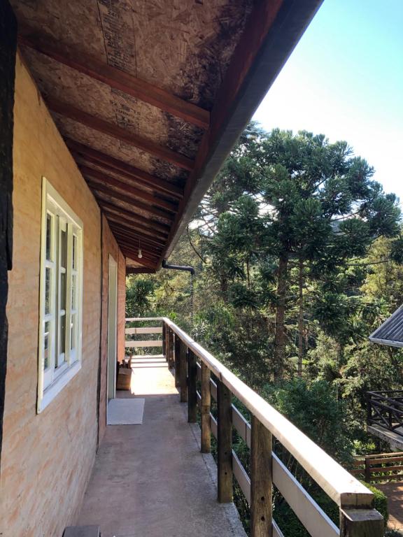  Casa pelinhos