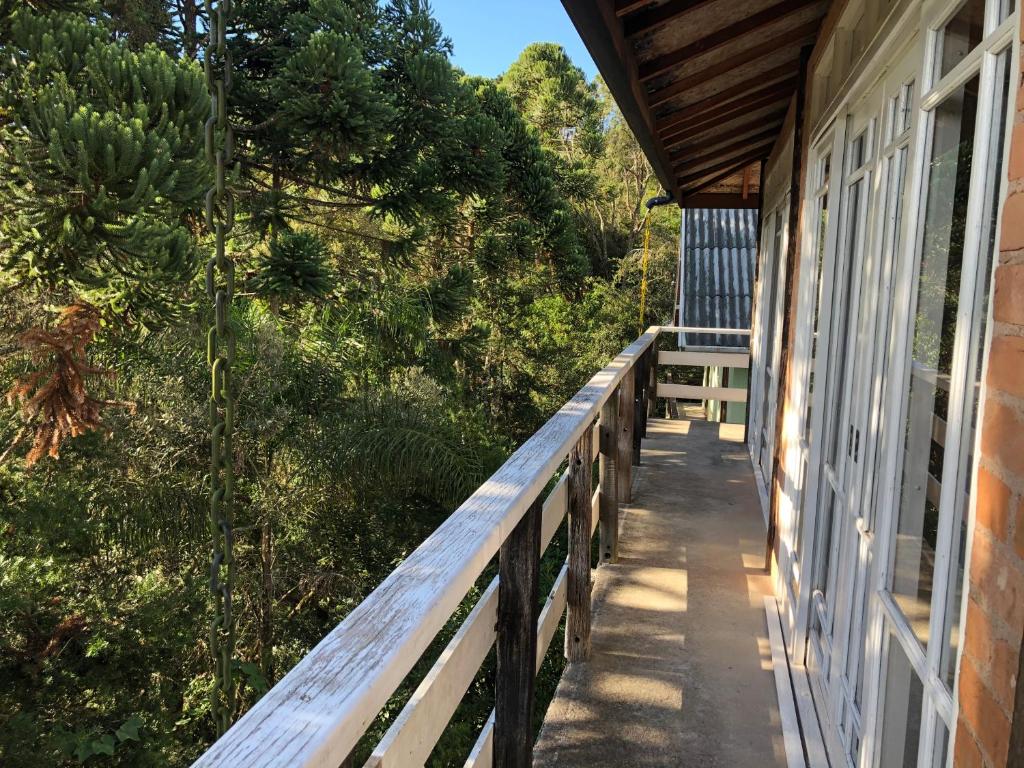  Casa pelinhos