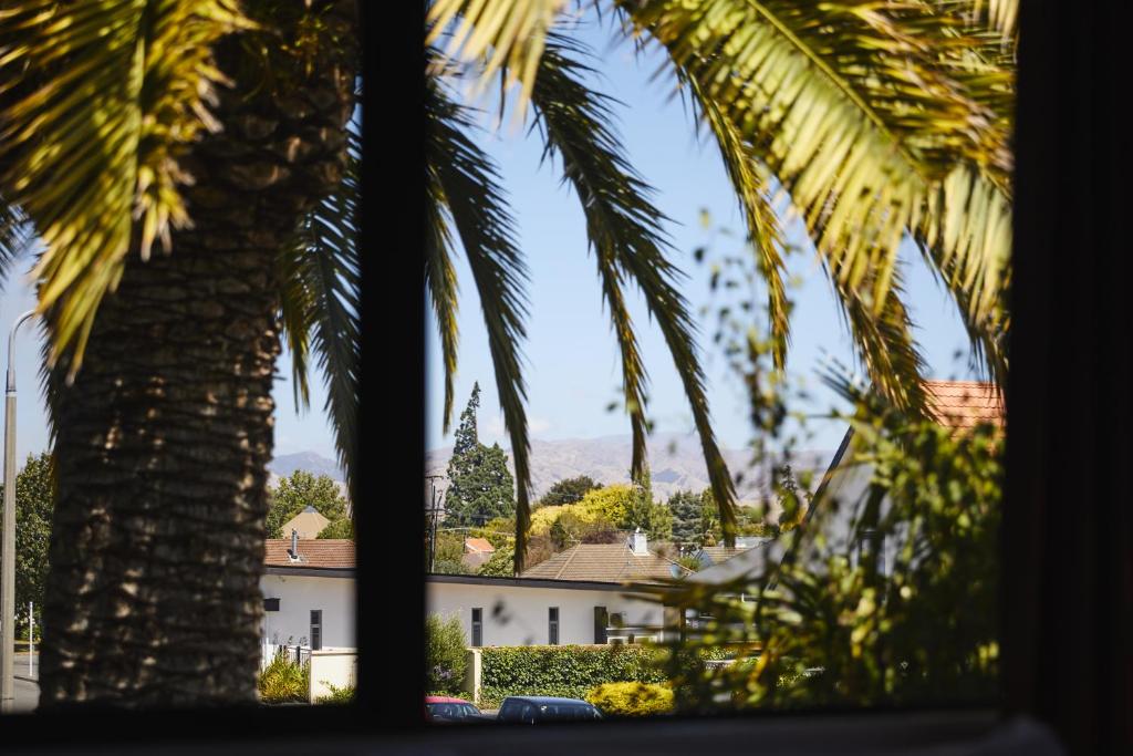 Blenheim Palms Motel - Resim 43