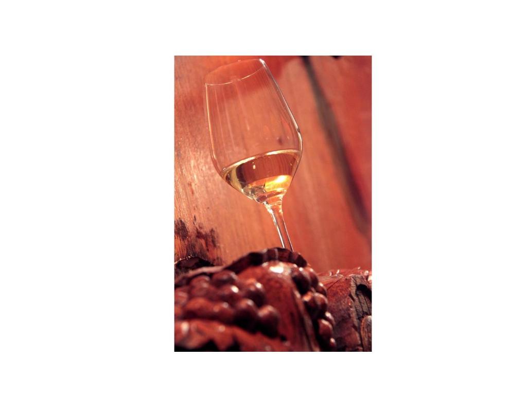 Domaine Jean Sipp – photo 12
