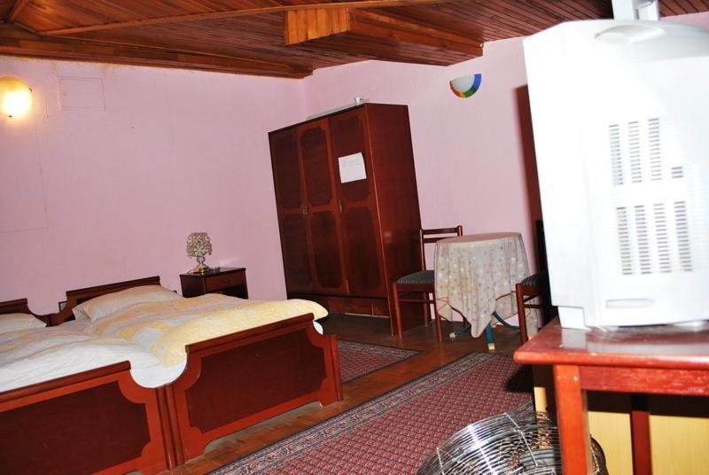 Kuchyň nebo kuchyňský kout v ubytování Guest House Gaja