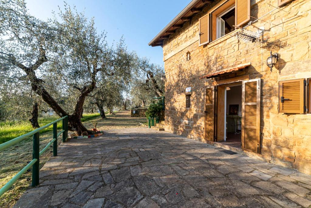 Casetta Maduneta immersa in un oliveto في دولشياكا: مسار حجري بجانب مبنى به اشجار