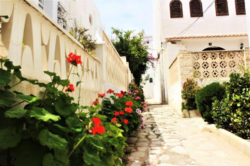 A garden outside Beautiful Air Conditioned bungalow - Alkabir