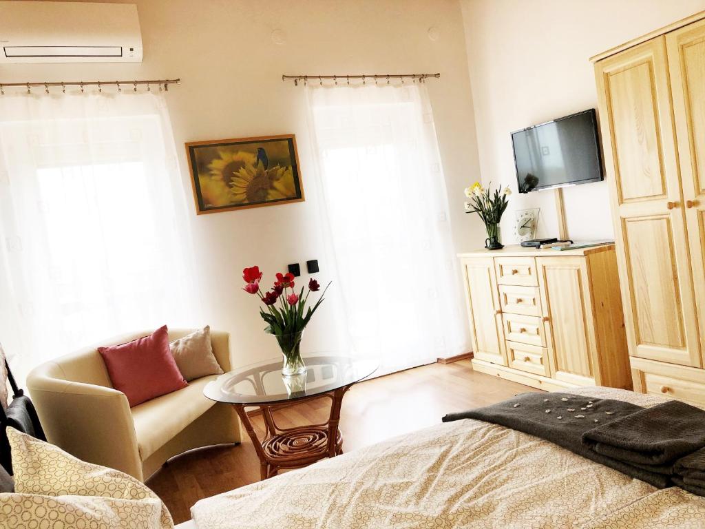TV a/nebo společenská místnost v ubytování Balaton Apartman Paloznak