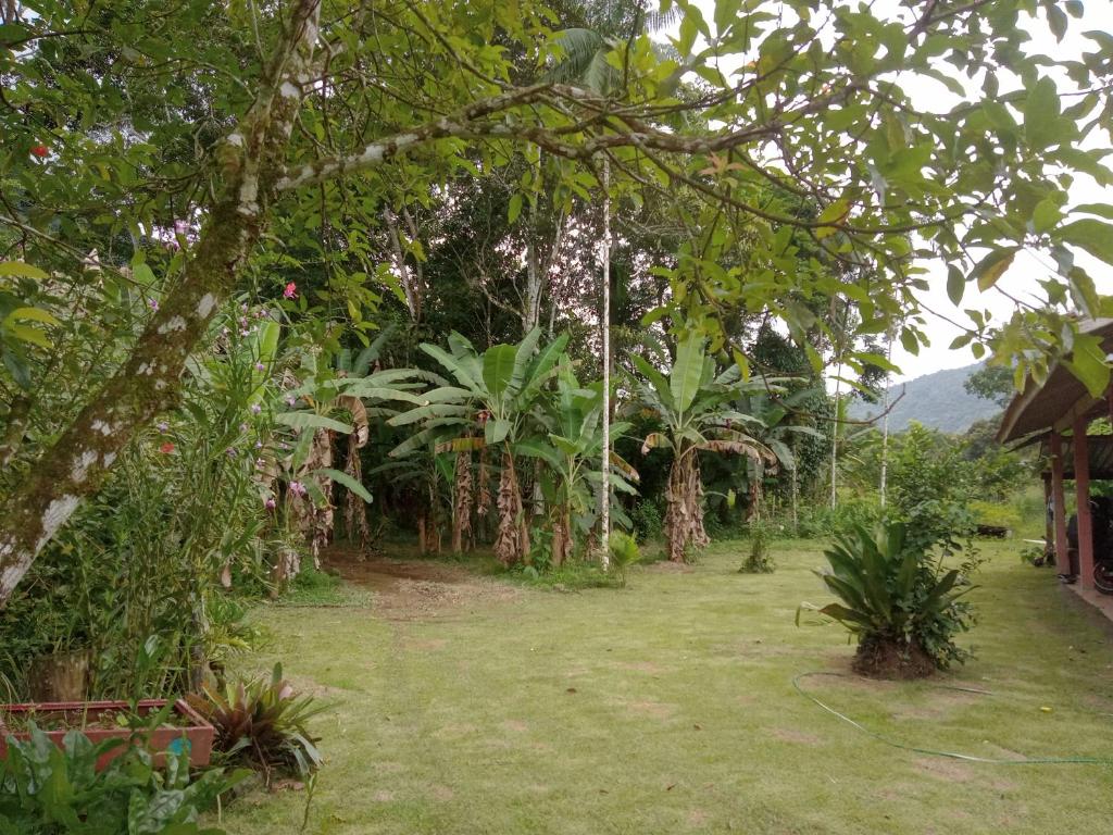  casa em sitio a 10 minutos da praia e a 200 metros da rodovia