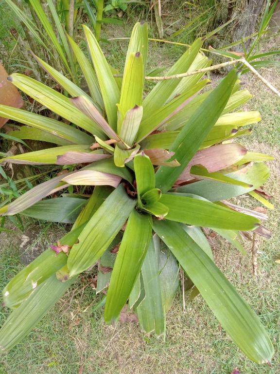  casa em sitio a 10 minutos da praia e a 200 metros da rodovia