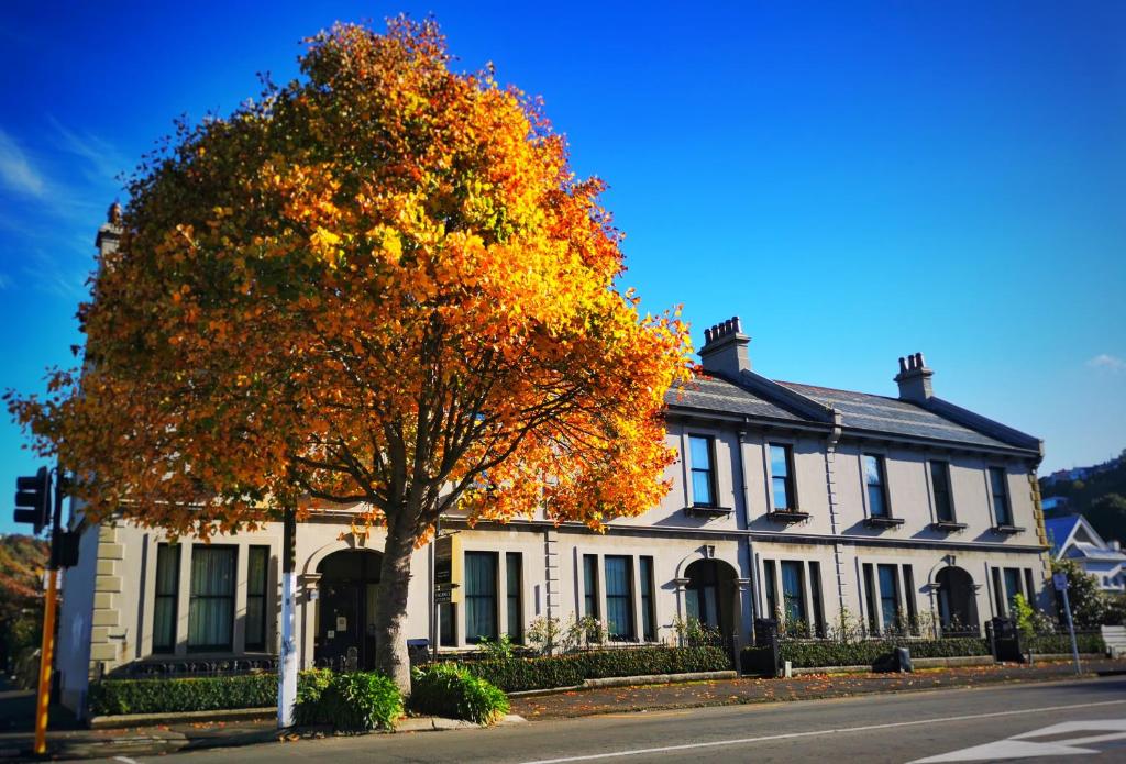 un árbol frente a una casa blanca en Highland House Boutique Hotel en Dunedin