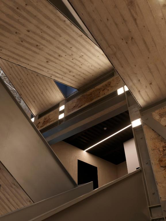 Rhinoceros - Resim 40