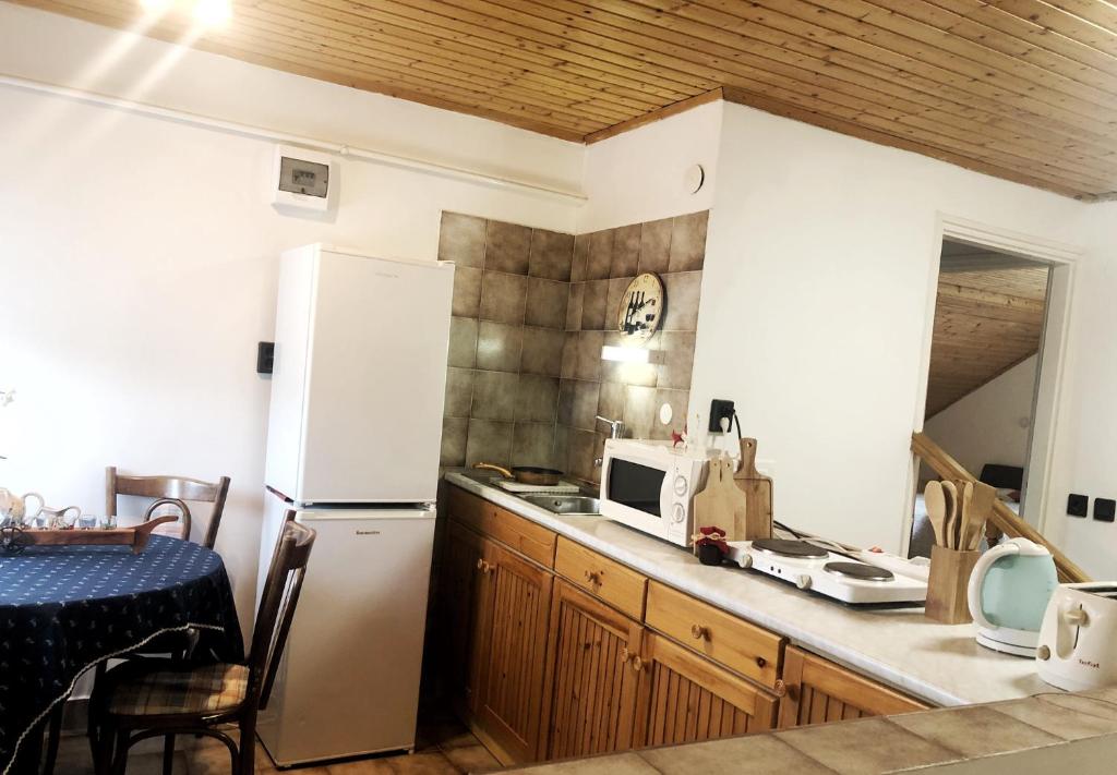 Kuchyň nebo kuchyňský kout v ubytování Balaton Apartman Paloznak