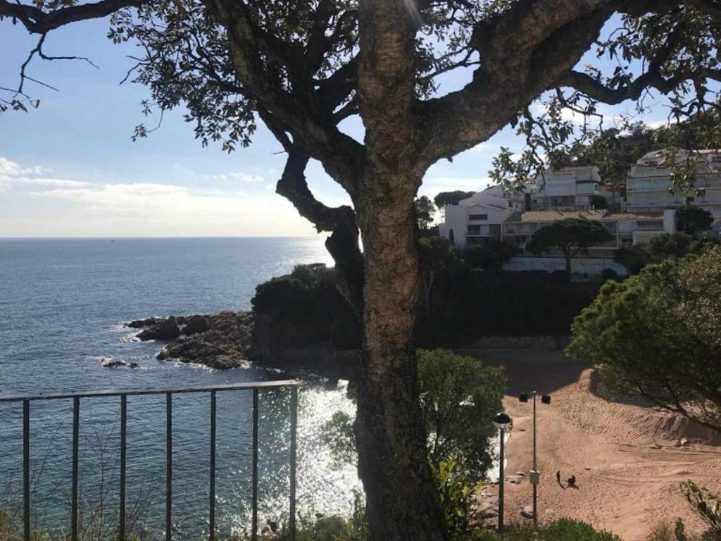 Fotografie z fotogalerie ubytování Apartamento Cala Salionç Playa frente a la playa v destinaci Tossa de Mar